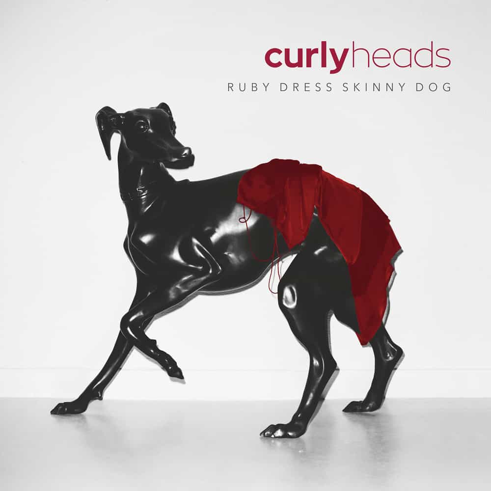 Dziś premiera płyty Ruby Dress Skinny Dog zespołu Curly Heads! 